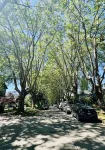 A peaceful and cozy home near UBC and Kitsilano - parking