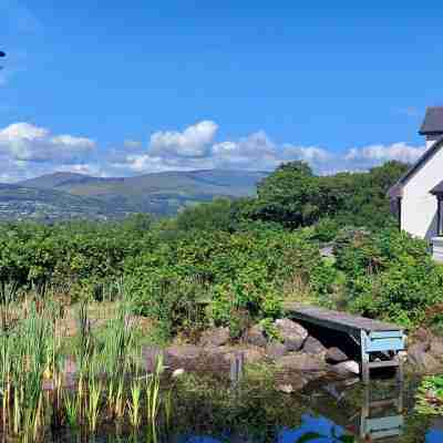 Misty Bay Lodge Hotel Exterior