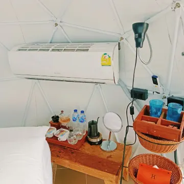 สแตนดาร์ดโดม