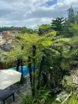 Love House Homestay Sa Pa Hotels in 