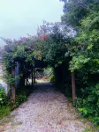 Privet room + Garden view Hotels in 