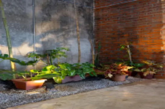 Kenny Hill Boutique Hotel near Borneo Medical Centre Kuching