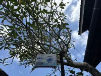 Top Homestay Ubud