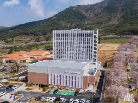 WELLPARK HOTEL GOCHANG