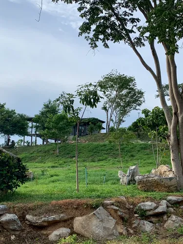 รูปภาพของภูม่านหมอก เขาใหญ่