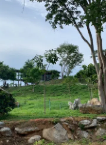 Phu Man Mhok KhaoYai