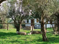 Love Suite Hotels in Niguelas