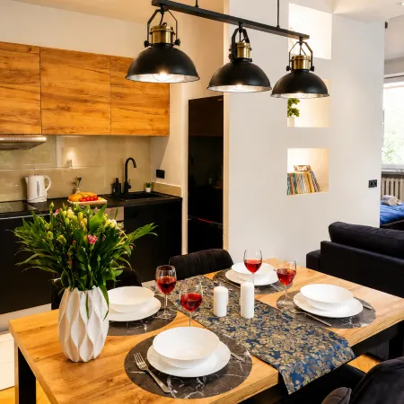 Lumina Apartment near Museum of Fryderyk Chopin