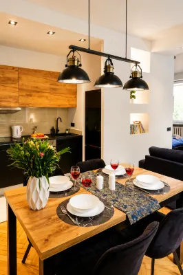 Lumina Apartment near Museum of Fryderyk Chopin - New