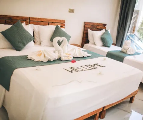 Frangipani fulhadhoo - servizio colazione