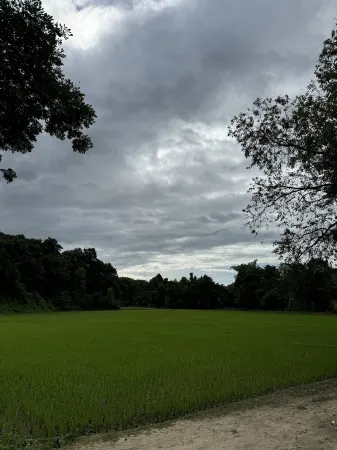 Elephant Regency Отели в г. Mae Wang