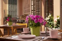 Antonio's Hostal - breakfast