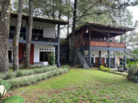 Santa Monica Resort Hotels in Caringin