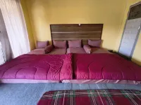 Loox Green Coffe Bungalow - Homestays