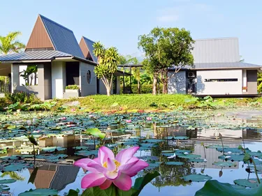รูปภาพของChombua MaeWang ชมบัว