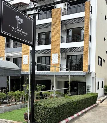 รูปภาพของสเตย์ ไวท์ ออร์คิด