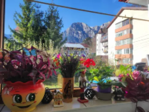 Little Bear Busteni 3 Hotels in Busteni