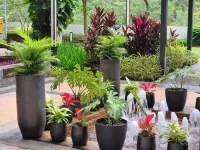 [Next to Lego Land] - Medini Family Suites for 3 Hotel di 