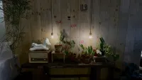 一弎一宿