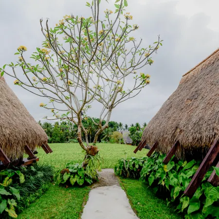 Ubud Rice Field Stay - Mahari by WAHM