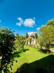 Palm Paradise - Airport Shuttle