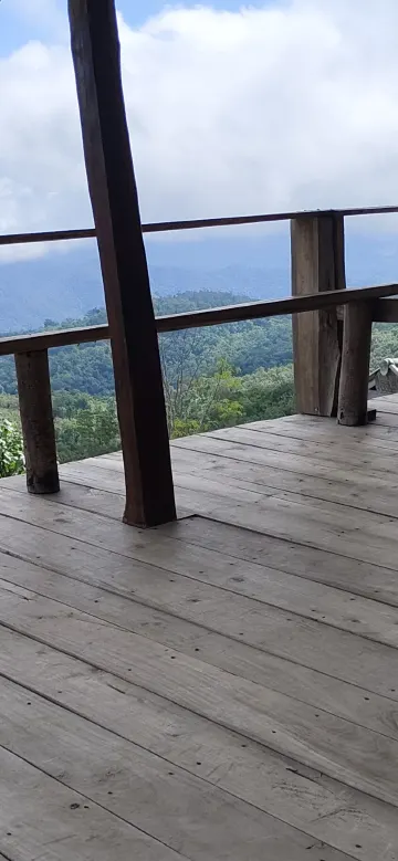 พีโอนี่