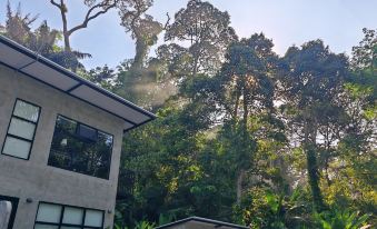 Penang Balik Pulau Daze in Nature Guest House 123