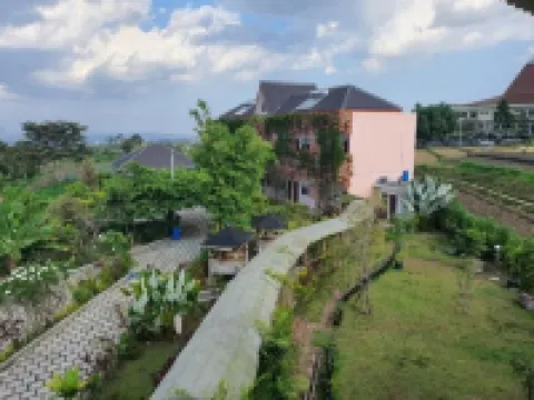 Tulip Guest House & Cafe Hotels in Junrejo