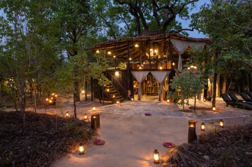 Tree House Hideaway - Homestays