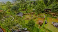 Adeka Camp