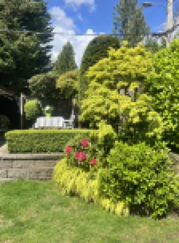 3Bed+2Bath Sauna Retreat in Vancouver!