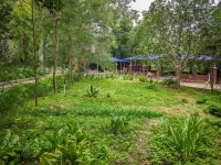 Dandeli Boutique Resort Hotels in Dandeli