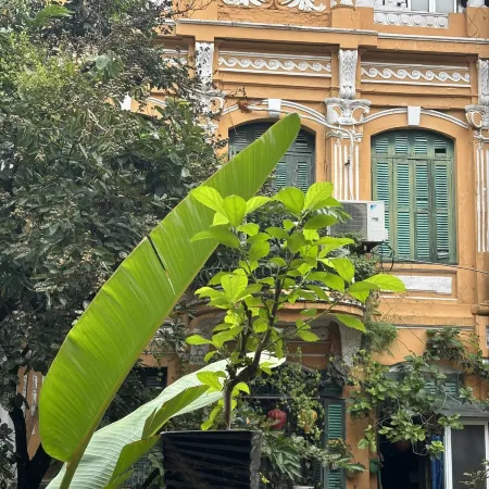 Hanoi Silver Hostel - Double Bed - Chill n Comfy