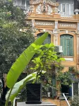 Hanoi Silver Hostel - Double Bed - Chill n Comfy - hostel