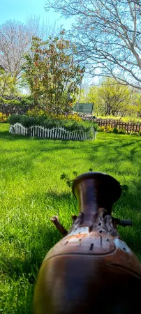 Ebruli Garden of Eden