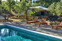 Olive - Pool, Jacuzzi - Tvrdic Honey Farm Hotels in Grohote