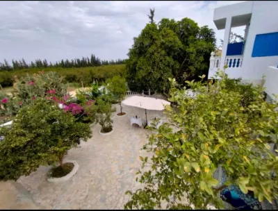 Henchir ejdoud Hotels in Kairouan North
