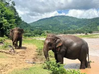 Elephant pool villa maetang chiangmai 매땡 호텔