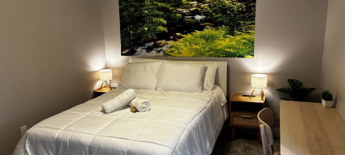 Nature Home Near Downtown and 17th Avenue Hotels in Calgary