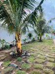 Snooze hostel lombok - بيوت الشباب