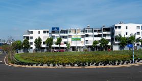 The Healing Luxury Hotel