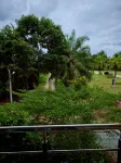 Little Charlie's House Khanom