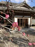 Private Japanese Kominka Retreat with Huge Garden HASSOAN - maisons de vacances
