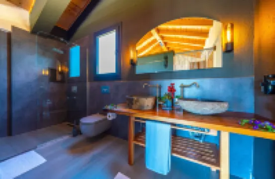 Volans Suites Villas