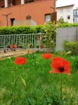 Riverside Private Garden Apartment – Lungarno del Tempio