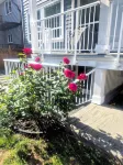 Cozy and Homey 2 BR Suite - 3 étoiles