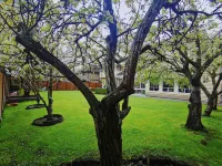 Ineffable Home Hotel a 