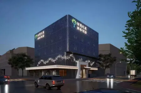 ZHIHUI STAR BUSINESS HOTEL Отели в г. Бавет