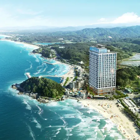 Surf Resort JukDo Alive