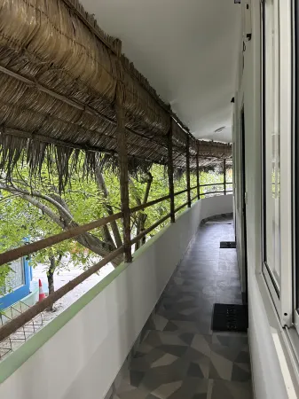 Dhangethi Inn Отели в г. Vilamendhoo